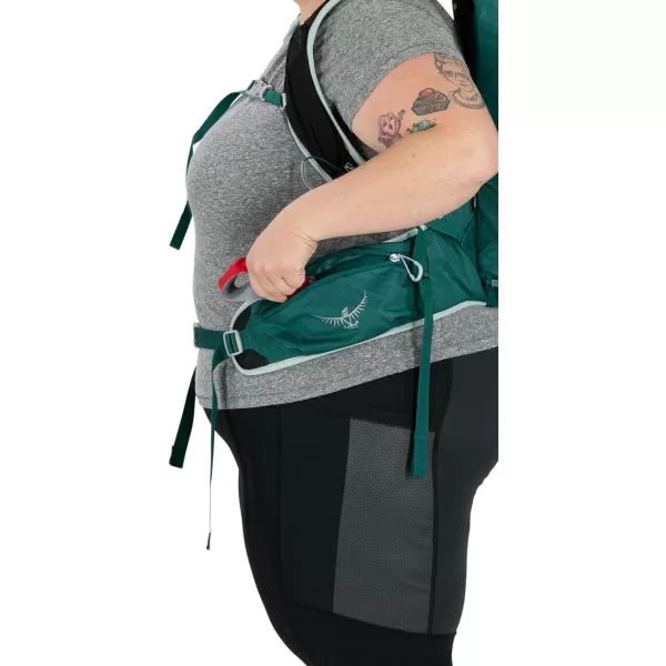 Osprey Tempest 20L Womens Hiking Backpack with Hipbelt Stealth Black WMLJasper Green