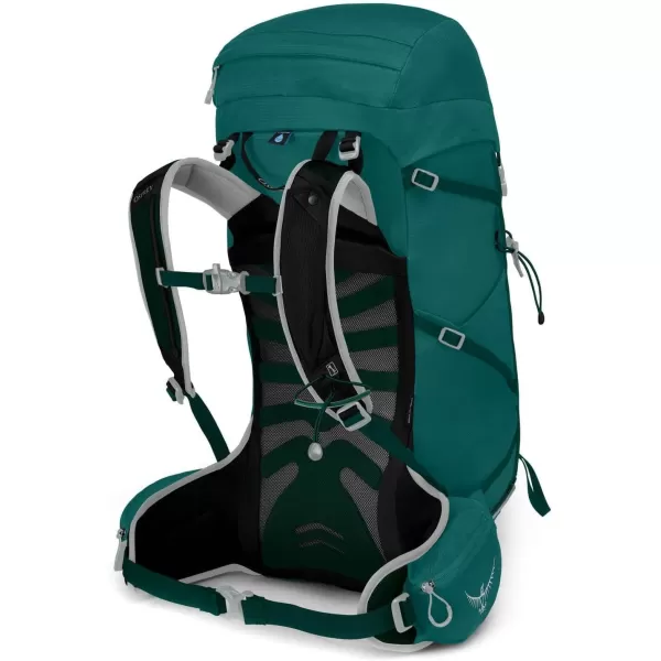 Osprey Tempest 30L Womens Hiking Backpack with Hipbelt Jasper Green WXSSJasper Green