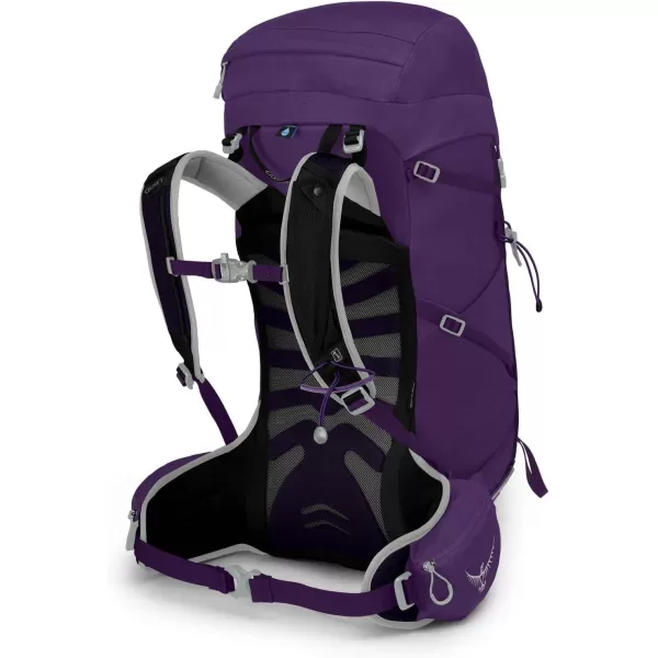 Osprey Tempest 30L Womens Hiking Backpack with Hipbelt Jasper Green WXSSViolac Purple