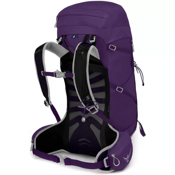 Osprey Tempest 30L Womens Hiking Backpack with Hipbelt Jasper Green WXSSViolac Purple