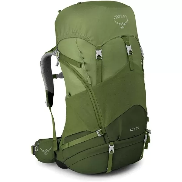 Osprey Ace Kids Backpacking BackpackVenture Green