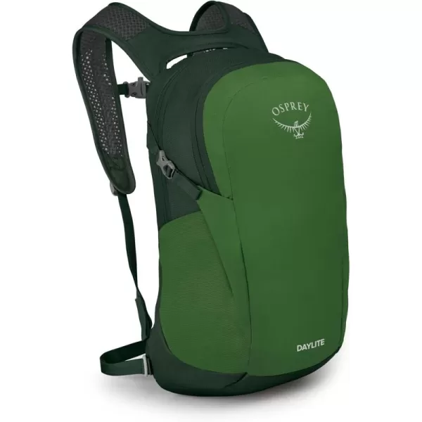 Osprey Daylite Commuter BackpackGreen BeltGreen Canopy