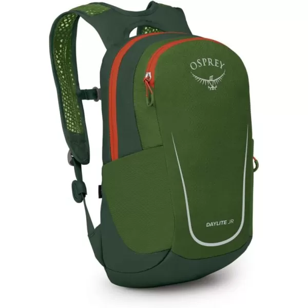 Osprey Daylite Jr Kids Commuter Backpack Space Travel PrintAntique BlueGreen CanopyGreen Belt