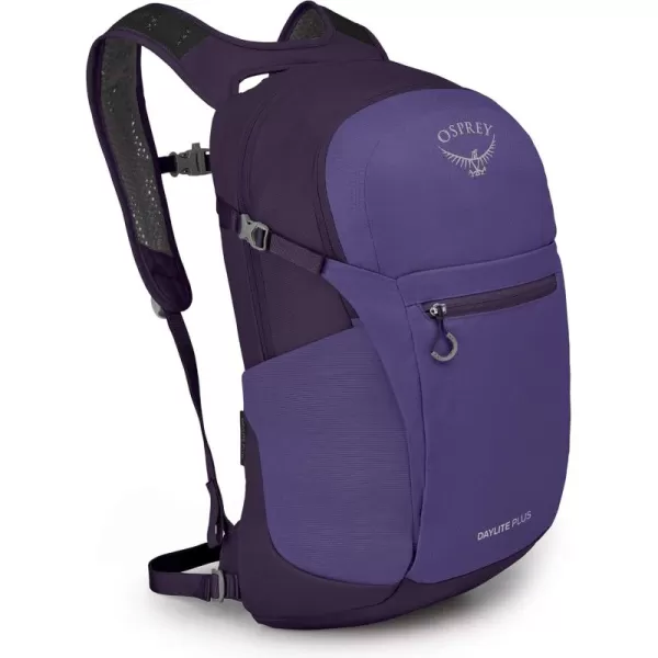 Dream Purple