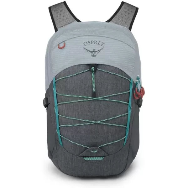 Osprey Quasar Commuter Backpack BlackSilver LiningTunnel Vision