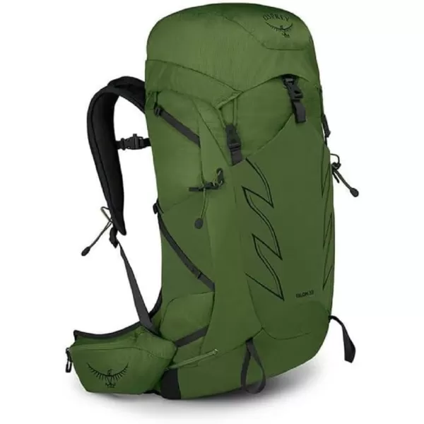 imageOsprey Talon 33L Mens Hiking Backpack with Hipbelt Eclipse Grey SMGreen BeltBlack