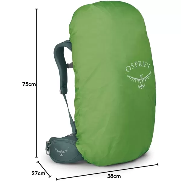 imageOsprey Viva 65 Mens Backpacking BackpackSucculent Green