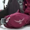 imageOsprey Renn 50L Womens Backpacking Backpack Cinder GreyCinder Grey