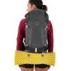 imageOsprey Tempest Velocity 30L Womens Hiking Backpack Dark CharcoalChiru Tan WXSSDark CharcoalChiru Tan