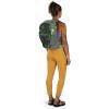 imageOsprey Daylite Plus Commuter Backpack Seaweed GreenJetstream Blue