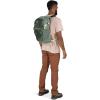 imageOsprey Daylite Plus Commuter Backpack Seaweed GreenJetstream Blue