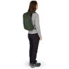 imageOsprey Daylite Commuter BackpackSeaweed Green  Amazon Exclusive