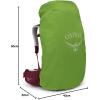 imageOsprey Aura AG LT 65L Womens Backpacking Backpack Antidote Purple WMLAntidote Purple