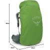 imageOsprey Aura AG LT 65L Womens Backpacking Backpack Antidote Purple WMLDarjeeling Spring Green