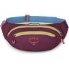 imageOsprey Daylite Waist PackMoody Burgundy