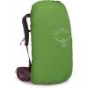 imageOsprey Kyte 38L Womens Backpacking Backpack with Hipbelt Rocky Brook Green WMLElderberry Purple