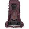 imageOsprey Kyte 38L Womens Backpacking Backpack with Hipbelt Rocky Brook Green WMLElderberry Purple