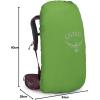 imageOsprey Kyte 38L Womens Backpacking Backpack with Hipbelt Rocky Brook Green WMLElderberry Purple