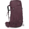 imageOsprey Kyte 38L Womens Backpacking Backpack with Hipbelt Rocky Brook Green WMLElderberry Purple