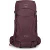 imageOsprey Kyte 38L Womens Backpacking Backpack with Hipbelt Rocky Brook Green WMLElderberry Purple
