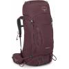 imageOsprey Kyte 58L Womens Backpacking Backpack with Hipbelt Elderberry Purple WMLElderberry Purple
