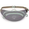 imageOsprey Daylite Mini Waist Pack BlackSoundwave Grey