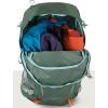 imageOsprey Hikelite 26L Unisex Hiking Backpack  Lightweight Daypack with Breathable Backpanel and Raincover  Ideal for Day Hikes Travel and Everyday Use in Any Weather ChameleonBlackPine Leaf Green