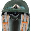 imageOsprey Hikelite 26L Unisex Hiking Backpack  Lightweight Daypack with Breathable Backpanel and Raincover  Ideal for Day Hikes Travel and Everyday Use in Any Weather ChameleonBlackPine Leaf Green