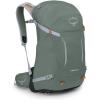 imageOsprey Hikelite 28L Unisex Hiking Backpack ChameleonBlack MLPine Leaf Green