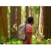 imageOsprey Hikelite 28L Unisex Hiking Backpack ChameleonBlack MLTan Concrete