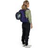 imageOsprey Raven 10L Womens Mountain Biking Backpack with Hydraulics ReservoirMagma Brown