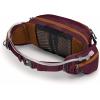 imageOsprey Seral Biking Waist PackPurple