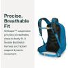 imageOsprey Talon Jr Boys Lightweight Hiking Backpack Green CanopyScoria Blue
