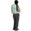 imageOsprey Tempest 11L Womens Lightweight Hiking Backpack with Hipbelt Deep FigHotspot PinkFrosty Mint GreenBotanica
