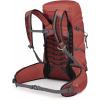 imageOsprey Tempest 33L Womens Lightweight Hiking Backpack with Hipbelt BlackCoal GreyExtended FitRed PampasCoal Grey