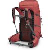 imageOsprey Tempest 33L Womens Lightweight Hiking Backpack with Hipbelt BlackCoal GreyExtended FitRed PampasCoal Grey