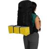 imageOsprey Tempest 44L Womens Lightweight Hiking Backpack with Hipbelt Red PampasCoal Grey MLBlackCoal Grey