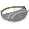 imageOsprey Daylite Mini Waist Pack BlackSoundwave Grey