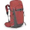 imageOsprey Tempest 33L Womens Lightweight Hiking Backpack with Hipbelt BlackCoal GreyExtended FitRed PampasCoal Grey