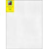 imageStrathmore 300 Series Stretched Canvas Gallery Profile 8x10 inches  Artist Canvas for Oil Acrylic Pouring ampamp Mixed Media  100 Cotton Triple Primed18x24