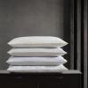 imageVera Wang Queen Sheet Set Soft Cotton Sateen Bedding Set Designer Home Dcor Simple Dot WhiteGold QueenFragments Grey