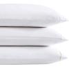 imageVera Wang Queen Sheet Set Soft Cotton Sateen Bedding Set Designer Home Dcor Simple Dot WhiteGold QueenSimple Dot White