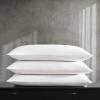 imageVera Wang Queen Sheet Set Soft Cotton Sateen Bedding Set Designer Home Dcor Simple Dot WhiteGold QueenSimple Dot White