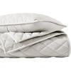 imageVera Wang  Queen Quilt Set Luxurious Velvet Bedding with Matching Shams Lightweight Home Decor Diamond Velvet Charcoal Grey QueenNatural Ivory