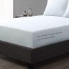 imageVera Wang  Queen Sheet Set Luxury Sateen Cotton Bedding 800 Thread Count Soft ampamp Smooth Home Decor Steel Grey4pcs QueenPale Blue
