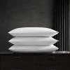 imageVera Wang Percale Collection Bed Sheet Set  100 Cotton Crisp ampamp Cool Lightweight ampamp OekoTex Certified Queen WhiteBlue