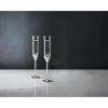 imageVera Wang Wedgwood Love Knots Toasting Flute Pair