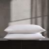 imageVera Wang  Queen Sheets Smooth Cotton Sateen Bedding Set WrinkleResistant Home Decor Simple Scallop Grey QueenSimple Scallop White