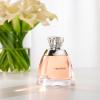 imageVera Wang Eau de Parfum for Women  Delicate Floral Scent  Notes of Iris Lillies ampamp Sandalwood  Feminine ampamp Subtle  34 Fl Oz