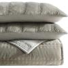 imageVera Wang  Queen Quilt Set Velvet Bedding with Matching Sham Modern Home Decor Velvet Linear Stitch French Clay QueenVelvet Linear Stitch Silver Leaf